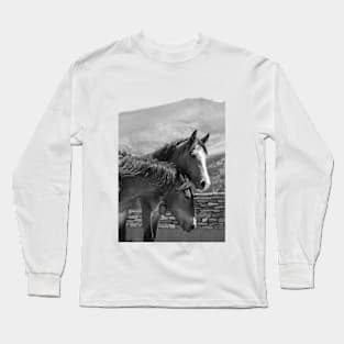 A couple of horses Long Sleeve T-Shirt